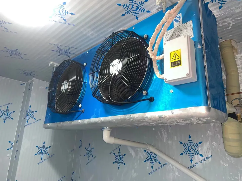 Energy saving cold storage freezer cold room for meat storage container cold room storage - Refrigeration Equipment - 5