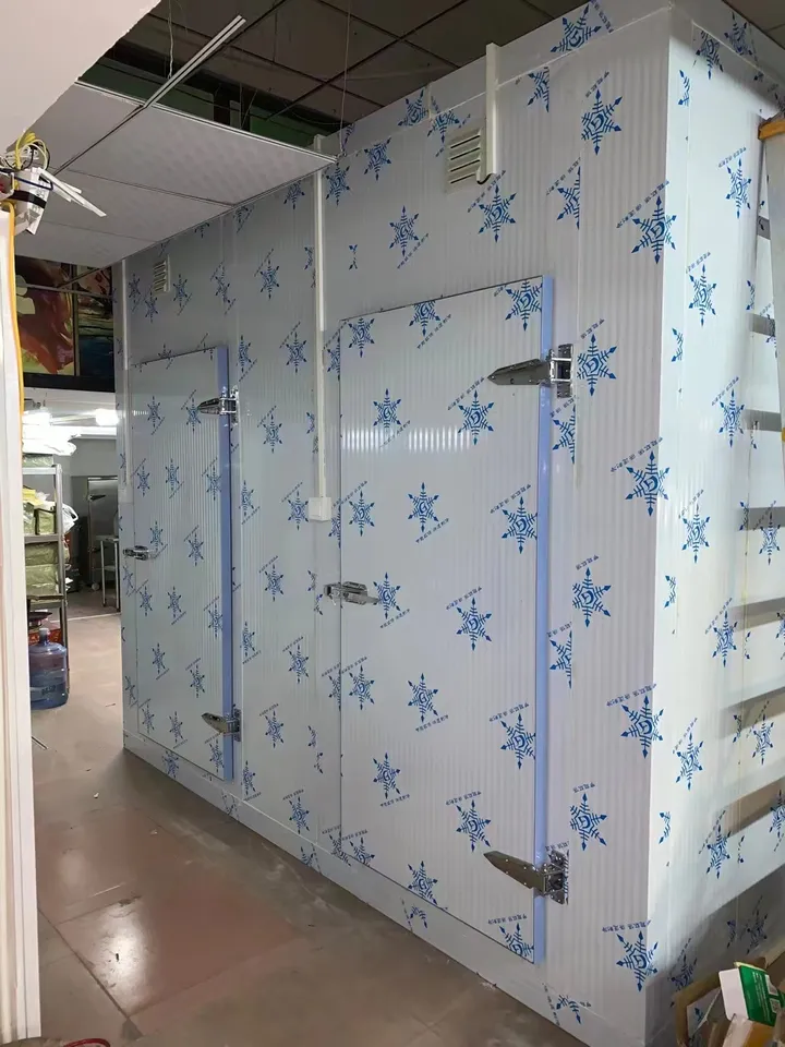 Energy saving cold storage freezer cold room for meat storage container cold room storage - Refrigeration Equipment - 2